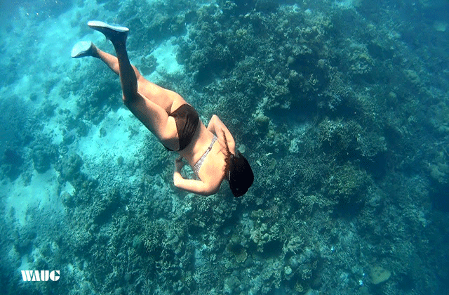 Palawan: Coron Malcapuya & Bulalacao & Banana Island Tour