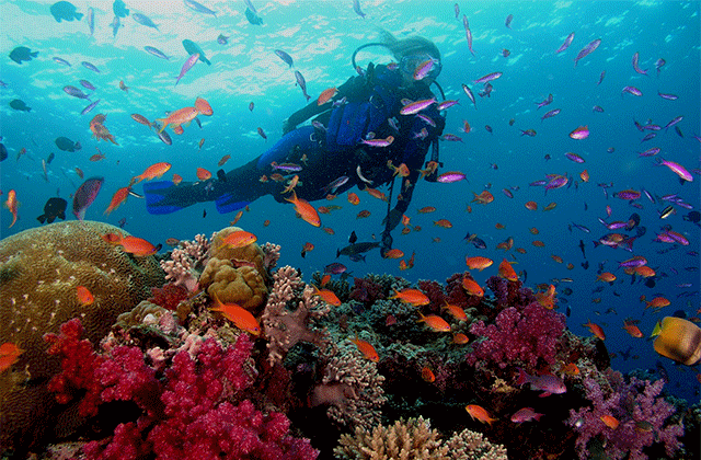 Boracay: Island Hopping Tour & Discover Scuba Diving