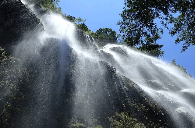 세부 오슬롭 고래상어 & 투말록 폭포 단독 투어