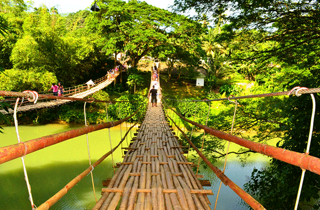 Bohol: Countryside Private Day Tour