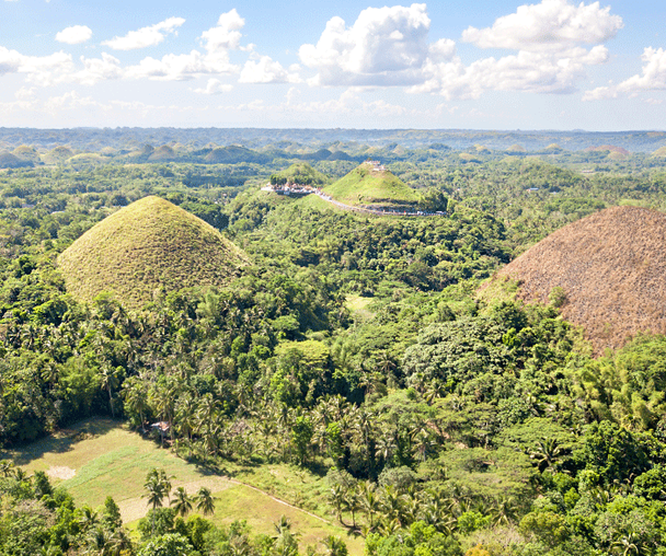 activity_detail_image