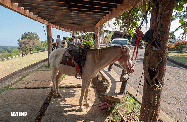 Palawan: Puerto Princesa City Half-Day Tour