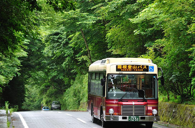 Tokyo Hakone & Kamakura 3-Day Pass