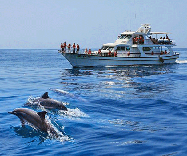 activity_detail_image