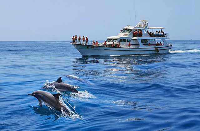 宜蘭清水地熱·カバランウイスキー·ドルフィンウォッチングタクシーツアー