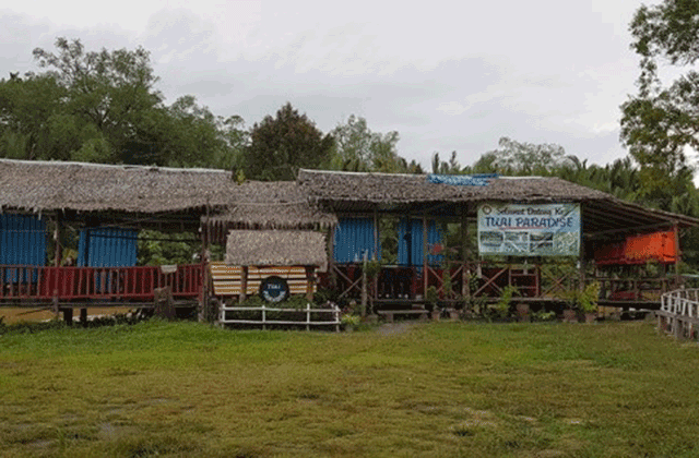 코타키나발루 뚜아이 반딧불 투어