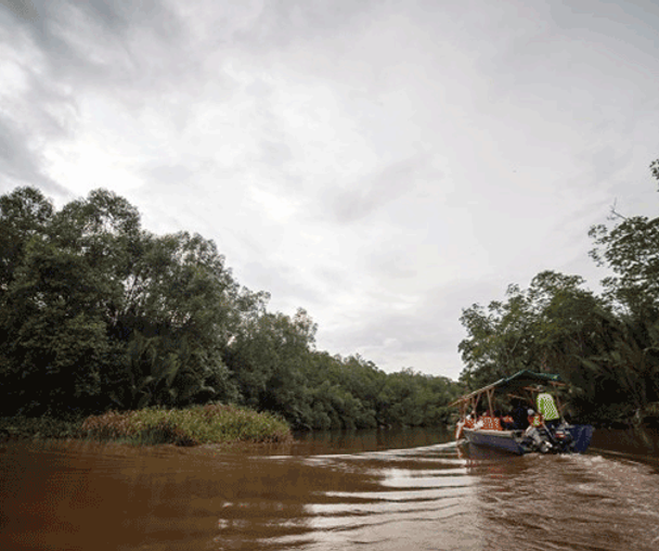 activity_detail_image