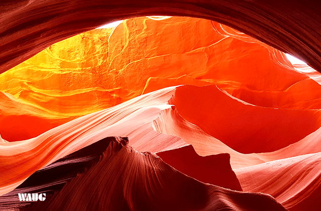 [라스베가스매니아] [1박2일 / 호텔] 그랜드캐년 + 모뉴먼트 밸리 완전 정복 투어