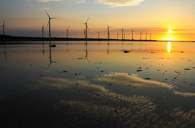 대만 타이중 시내 전일 투어 (고미습지, 무지개마을, 궁원안과)
