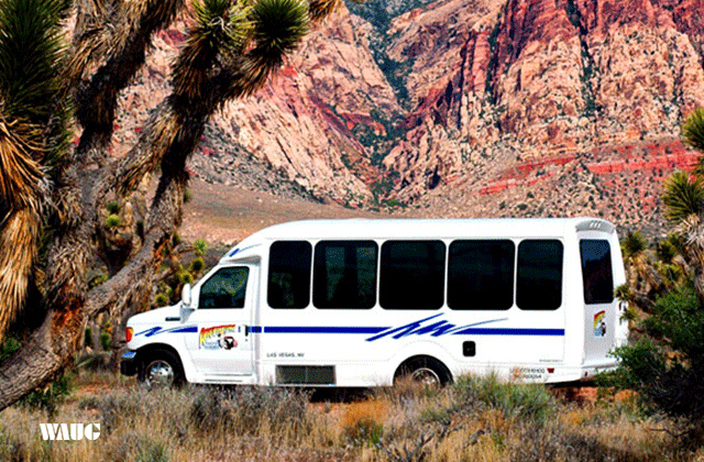 [비바라스베가스] 베가스 출발: 데스밸리 국립공원 일일 투어