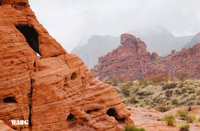 [비바라스베가스] 라스베가스 출발: 불의 계곡 & 로스트시티 박물관 일일 투어