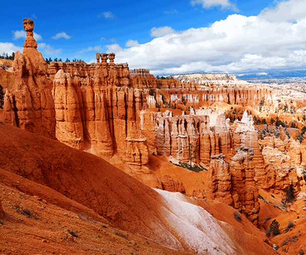 activity_detail_image