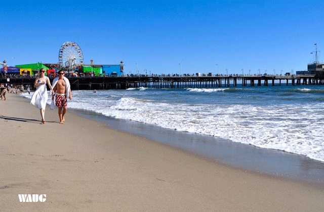 [비바라스베가스] 라스베가스 출발: LA 할리우드 일일 투어