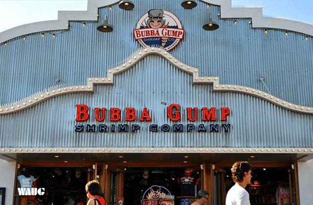 [비바라스베가스] 라스베가스 출발: LA 할리우드 일일 투어