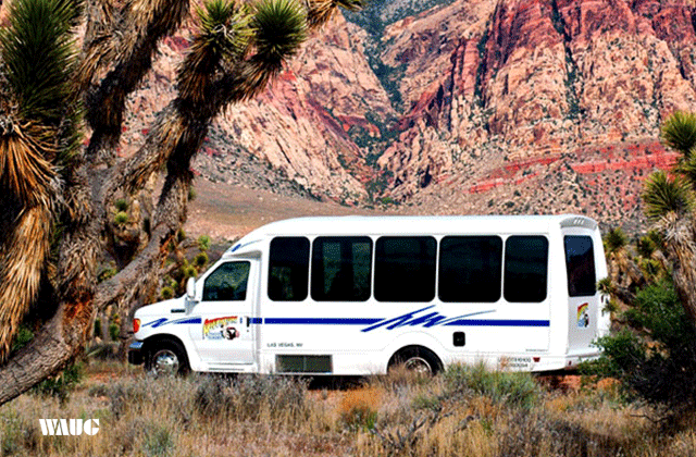 [비바라스베가스] 라스베가스 출발: LA 할리우드 일일 투어
