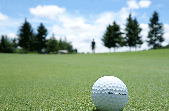 클락 베버리 플레이스 골프 컨트리 클럽 - 18홀 그린피