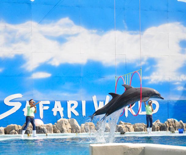 activity_detail_image