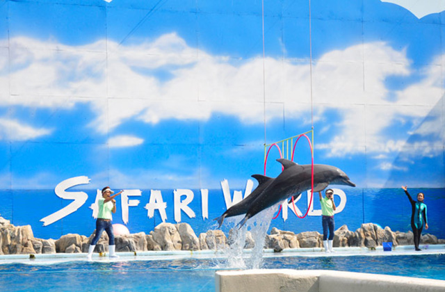 방콕 사파리 월드 단독 프라이빗 투어