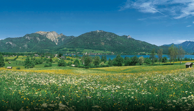 Salzburg: The Original Sound of Music® Tour