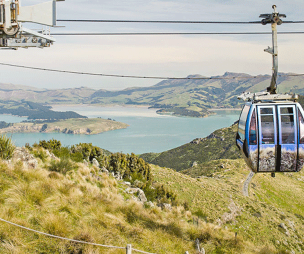 activity_detail_image