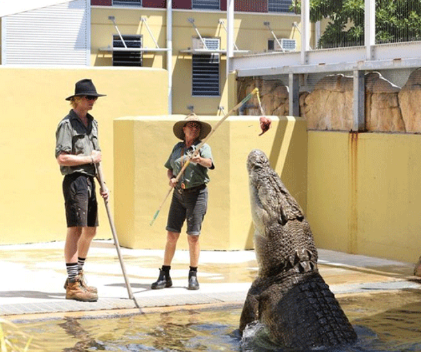 activity_detail_image