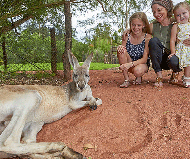 activity_detail_image