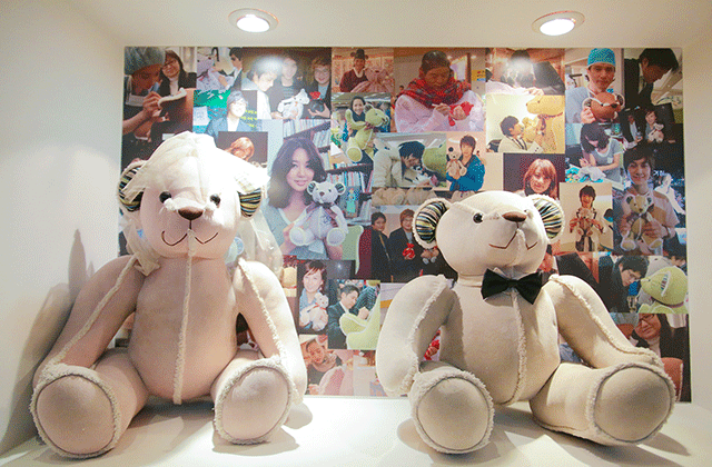 제주 테디베어하우스 테지움 입장권