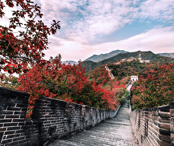 activity_detail_image