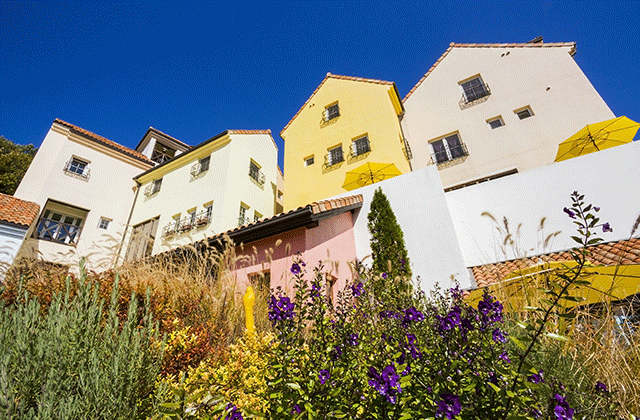 春川・南怡島 & プチフランス  イタリア村バスツアー(ソウル出発)