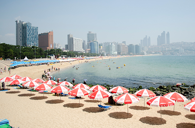 부산 시티 버스투어