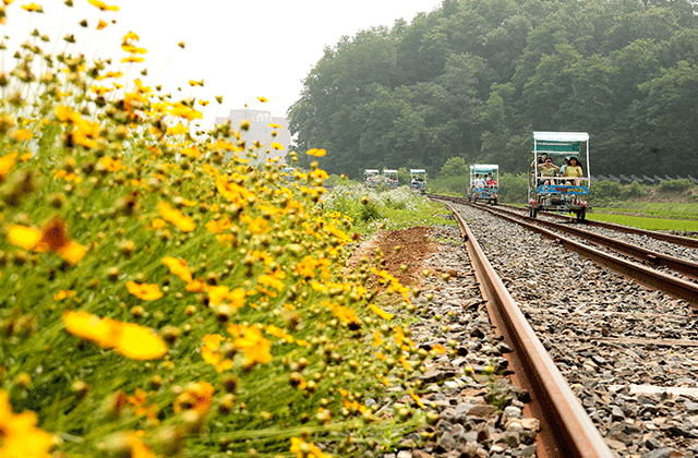 아산 레일바이크 탑승권