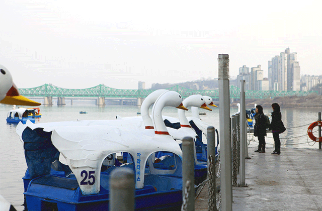 서울 여의도 한강 오리배 탑승권