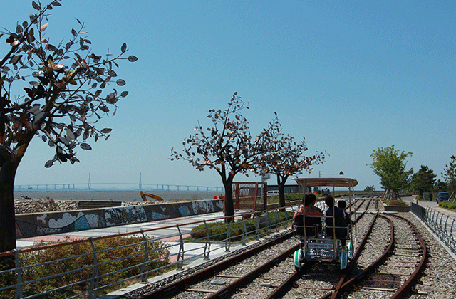 영종도 씨사이드 레일바이크 티켓