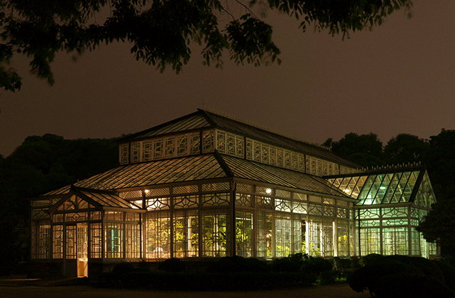 서울 종로 지식가이드와 함께하는 창경궁 투어 (트래블레이블)