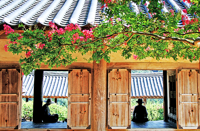 안동 하회마을 일일 버스 투어