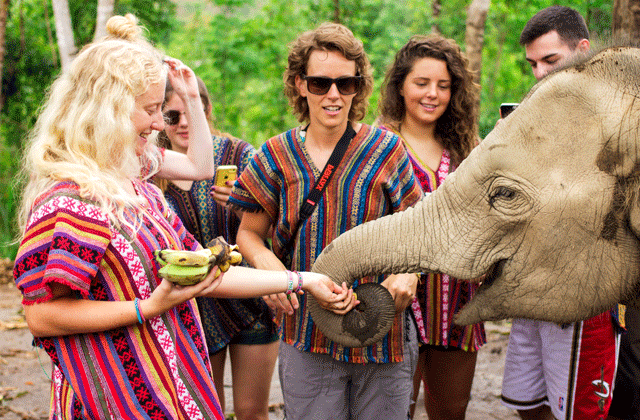 치앙마이 코끼리 보호소 - 정글 생츄어리 투어