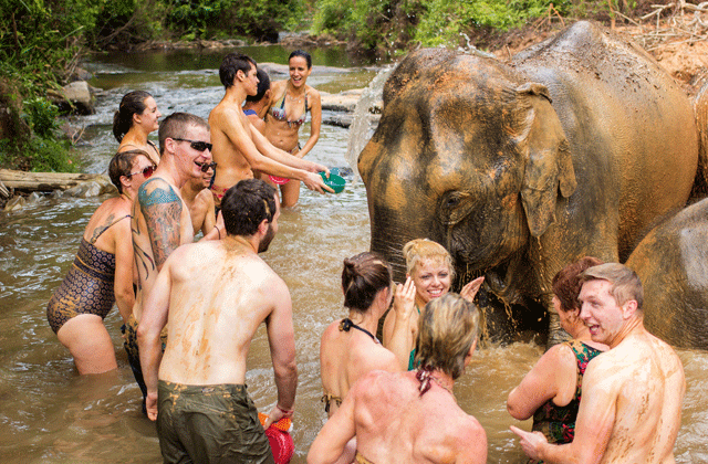 치앙마이 코끼리 보호소 - 정글 생츄어리 투어