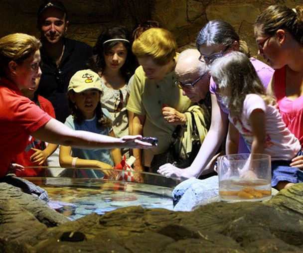 activity_detail_image