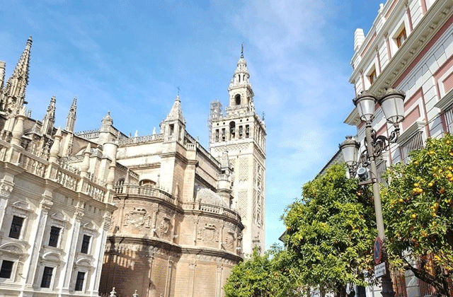 세비야 대성당 전문 가이드 투어 (18년 경력 가이드 / 소수정예)