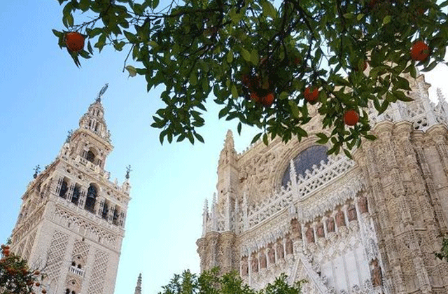 세비야 대성당 전문 가이드 투어 (18년 경력 가이드 / 소수정예)