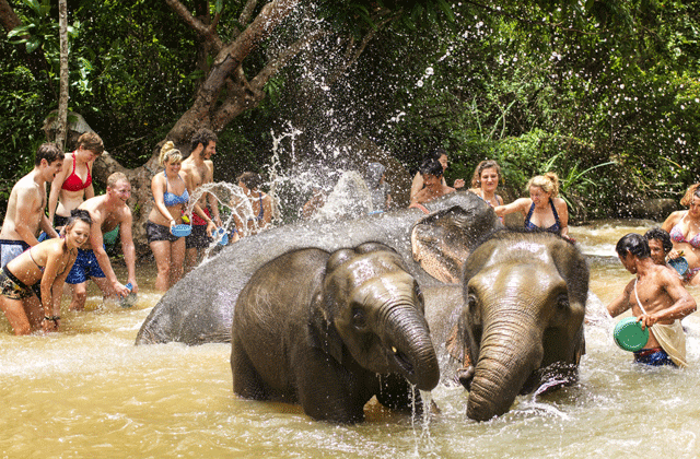 파타야 코끼리 보호소 - 정글 생츄어리 투어