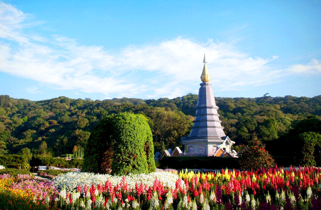 치앙마이 도이인타논 국립공원 트래킹 탐험 투어