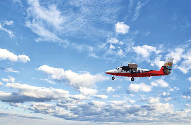 사우스림 출발: 그랜드캐년 경비행기 투어