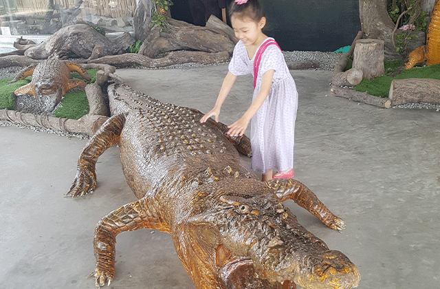 [마이힐링코타] 코타키나발루 뚜아란 악어농장 견학 투어