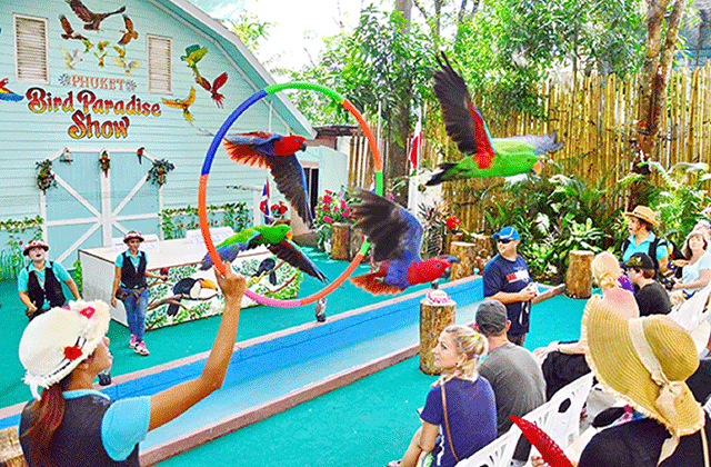 Phuket Bird Park Admission