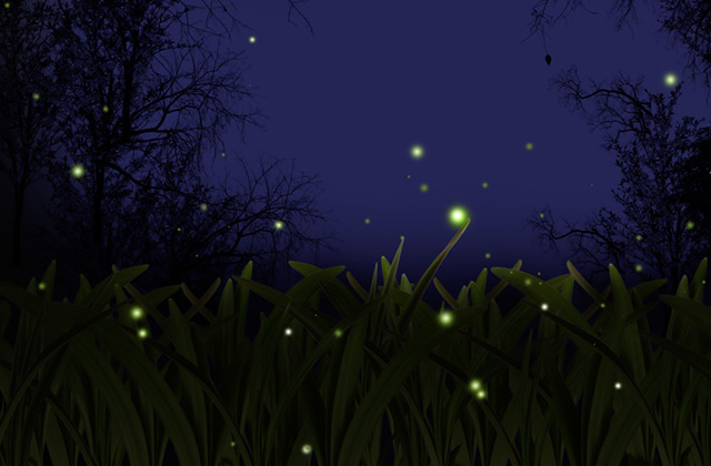 [한국인전용] 방콕 암파와 주말시장과 반딧불 투어