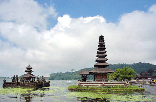 발리 올데이 렌트카 (기사님 포함)