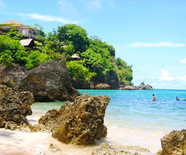 activity_detail_image