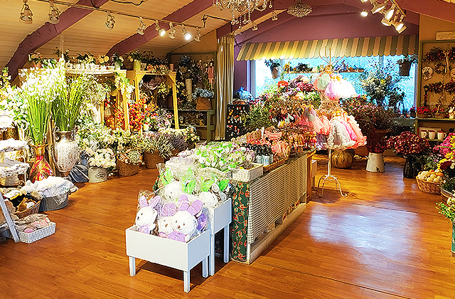 경기 포천 허브아일랜드 입장권