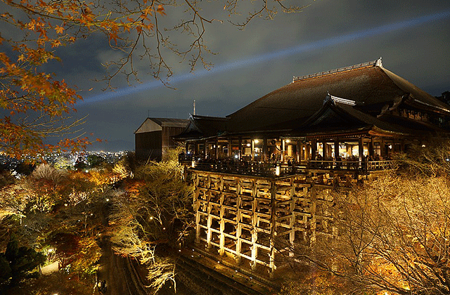 JR 서일본 간사이 패스 1/2/3/4일권